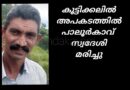 കൂട്ടിക്കലിൽ അപകടത്തിൽ പാലൂർകാവ് സ്വദേശി  മരിച്ചു