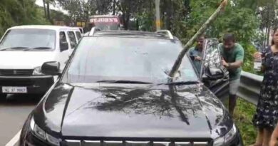 ഓടുന്ന കാറിലേക്ക്  മരക്കൊമ്പ് ഒടിഞ്ഞുവീണ്  ചില്ലു തുളച്ച് അകത്തു കയറി.